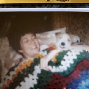 Meet your Posher, Dorothy